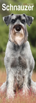 Schnauzer Slim