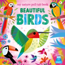Beautiful Birds