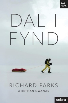 Stori Sydyn: Dal i Fynd