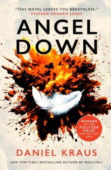 Titan Books Angel Down