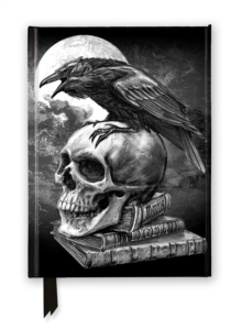 Alchemy: Poes Raven (Foiled Journal)