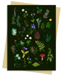 Anna Stead Forest Floor Greeting Card Pack : Pack Of 6 Flame Tree Studio