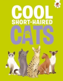 Cool Short-Haired Cats