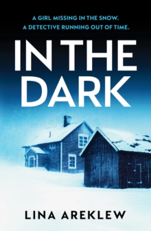 In the Dark : A gripping and atmospheric Scandi noir crime thriller for fans of Will Dean