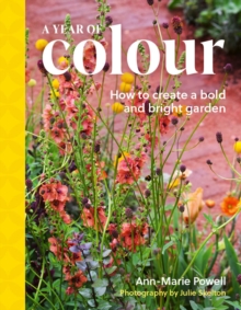 A Year of Colour : How to create a bold and bright garden