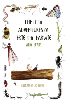 The Little Adventures of Erig the Earwig