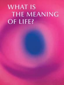 What is the Meaning of Life? : Making and Breaking the Rules We Live By