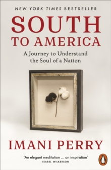 South to America : A Journey to Understand the Soul of a Nation