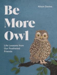 Quadrille Publishing Ltd Be More Owl , Life Lessons From Our Feathered Friends