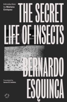 The Secret Life Of Insects