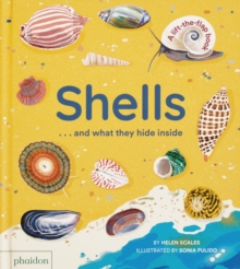 Shells... and what they hide inside : A Lift-the-Flap Adventure