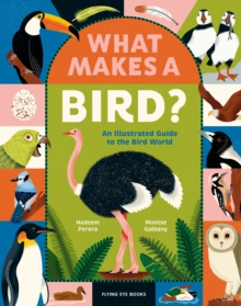 What Makes a Bird? : An Illustrated Guide to the Bird World