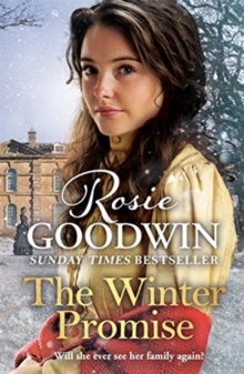 The Winter Promise : A perfect cosy Victorian saga from the Sunday Times bestselling author