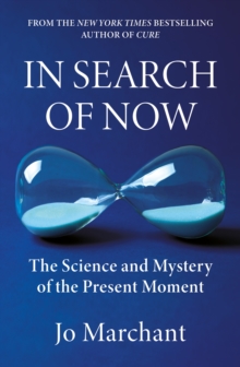 Canongate Books In Search Of Now , The Science And Mystery Of The Present Moment