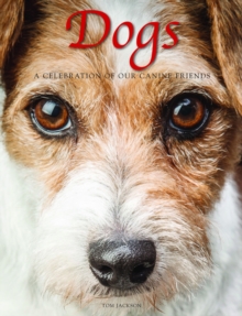 Dogs : A Celebration of our Canine Friends