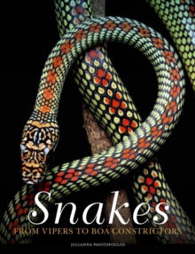 Snakes : From Vipers to Boa Constrictors