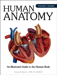 Human Anatomy : An Illustrated Guide to the Human Body