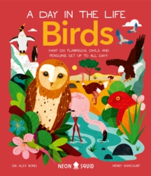 Birds (A Day in the Life) : What Do Flamingos, Owls, and Penguins Get Up To All Day?