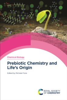 Prebiotic Chemistry and Life's Origin