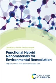 Functional Hybrid Nanomaterials for Environmental Remediation