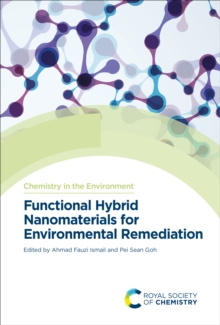 Functional Hybrid Nanomaterials for Environmental Remediation