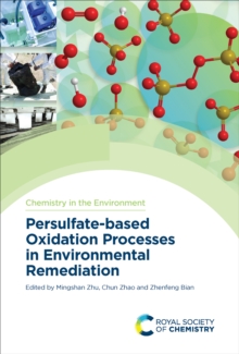 Persulfate-based Oxidation Processes in Environmental Remediation