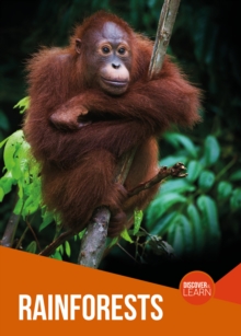Rainforests, Hardback Book Rainforests, Hardback Book