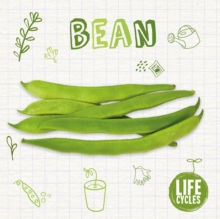 Bean, Hardback Book Bean, Hardback Book