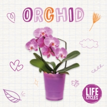 Orchid, Hardback Book Orchid, Hardback Book