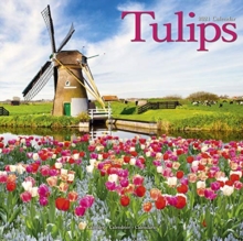 Tulips 2021 Wall Calendar, Calendar Book Tulips 2021 Wall Calendar, Calendar Book