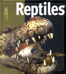 Reptiles, Hardback Book Reptiles, Hardback Book