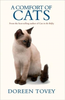 A Comfort of Cats, Paperback Book A Comfort of Cats, Paperback Book