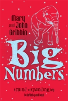Big Numbers : A Mind-Expanding Trip to Infinity and Back, Paperback Book Big Numbers : A Mind-Expanding Trip to Infinity and Back, Paperback Book