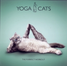 Yoga Cats : The Purrfect Workout, Hardback Book Yoga Cats : The Purrfect Workout, Hardback Book