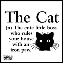 Urban Words - The Cat, Hardback Book Urban Words - The Cat, Hardback Book