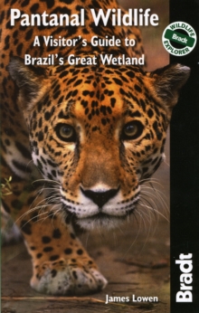 Pantanal Wildlife : A Visitor's Guide to Brazil's Great Wetland