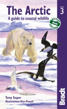 Arctic : A Guide to Coastal Wildlife, Paperback Book Arctic : A Guide to Coastal Wildlife, Paperback Book