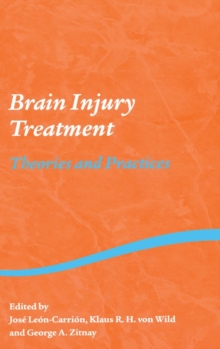Brain Injury Treatment : Theories and Practices, Hardback Book Brain Injury Treatment : Theories and Practices, Hardback Book