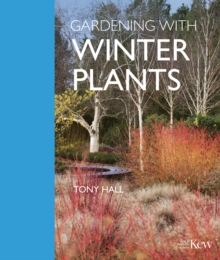 Gardening with Winter Plants