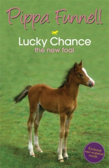 Lucky Chance the New Foal : Book 5, Paperback Book Lucky Chance the New Foal : Book 5, Paperback Book