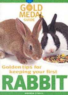 Rabbit, Paperback Book Rabbit, Paperback Book