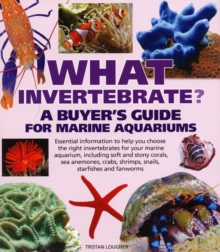 What Invertebrate?, Paperback Book What Invertebrate?, Paperback Book
