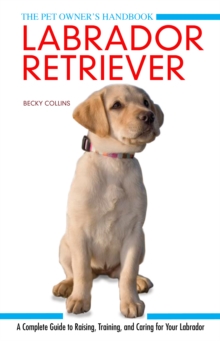 Labrador Retriever : A Complete Guide to Raising, Training and Caring for Your Labrador, Hardback Book Labrador Retriever : A Complete Guide to Raising, Training and Caring for Your Labrador, Hardback Book