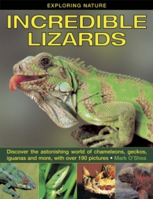 Exploring Nature: Incredible Lizards : Discover the Astonishing World of Chameleons, Geckos, Iguanas and More, with Over 190 Pictures, Hardback Book Exploring Nature: Incredible Lizards : Discover the Astonishing World of Chameleons, Geckos, Iguanas and More, with Over 190 Pictures, Hardback Book
