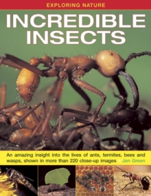 Exploring Nature: Incredible Insects : An Amazing Insight Into The Lives Of Ants, Termites, Bees And Wasps, Shown In More Than 220 Close-up Images