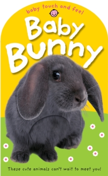Baby Bunny, Board book Book Baby Bunny, Board book Book