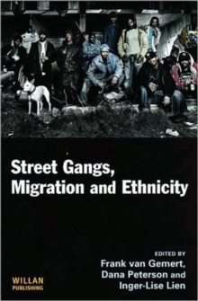 Street Gangs, Migration and Ethnicity, Hardback Book Street Gangs, Migration and Ethnicity, Hardback Book