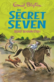 Secret Seven Mystery : Book 9