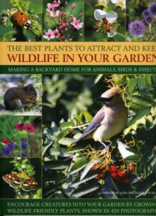 Best Plants to Attract and Keep Wildlife in the Garden