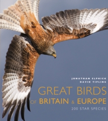 Great Birds of Britain and Europe : 200 Star Species, Other book format Book Great Birds of Britain and Europe : 200 Star Species, Other book format Book